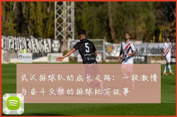 武汉排球队的成长之路：一段激情与奋斗交织的排球纪实故事