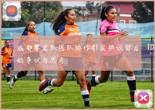 成都攀岩队团队协作引发热议背后的争议与思考