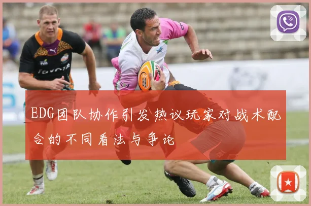 EDG团队协作引发热议玩家对战术配合的不同看法与争论