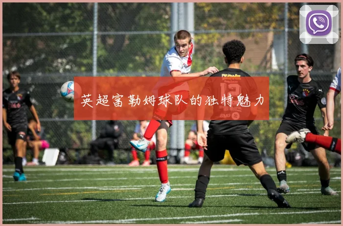 英超富勒姆球队的独特魅力