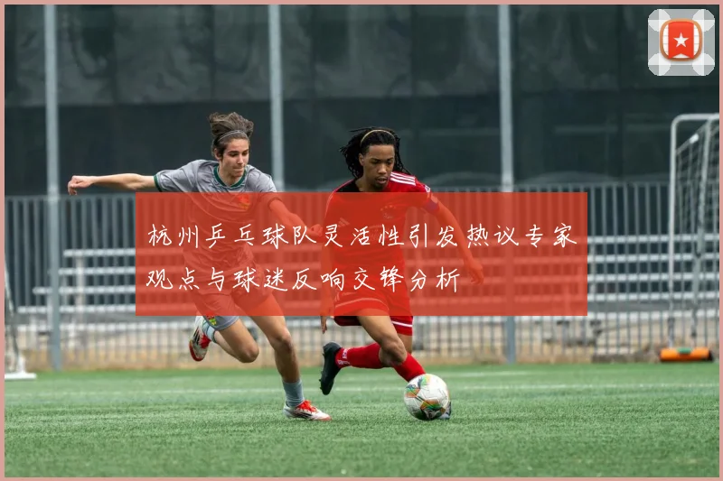 杭州乒乓球队灵活性引发热议专家观点与球迷反响交锋分析